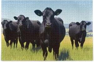 Burbuja 500 Pieces Jigsaw Puzzles for Adults, Black Cows Puzzles Game for Family Holiday Birthday Gift