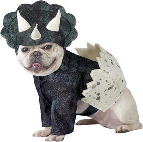 CALIFORNIA COSTUME COLLECTIONS Pet DINO PUP Dog Costumes, Dark Green, XS Neck 10 -12 Girth 12 -16 Back 8 US