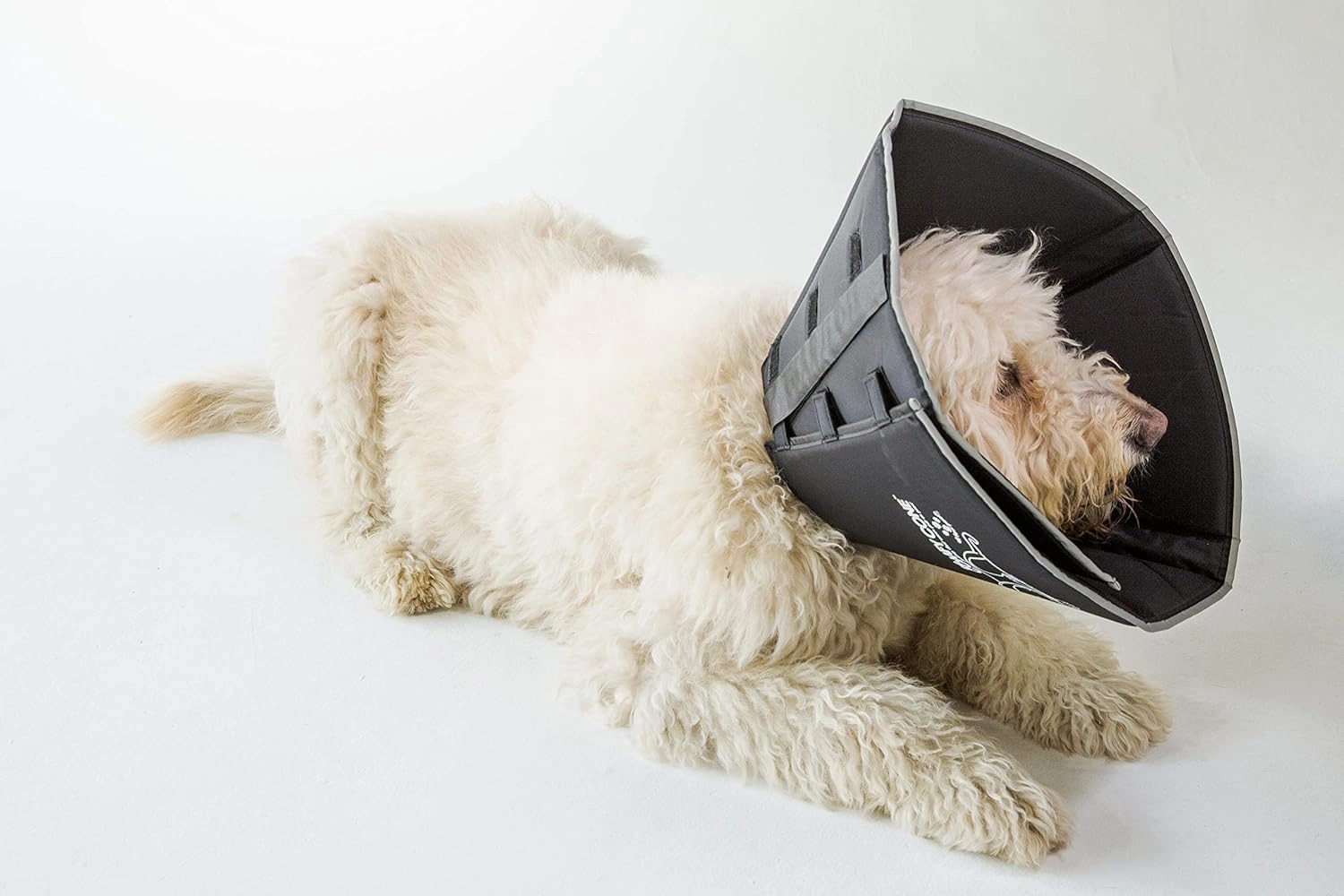 Comfy Cone Pet Cone for Dogs, Cats, X-Large, Black - Comfortable Soft Dog Cone Collar Alternative for After Surgery, Wound Care, Spay, Neuter - Dog and Cat Recovery Elizabethan-Collar