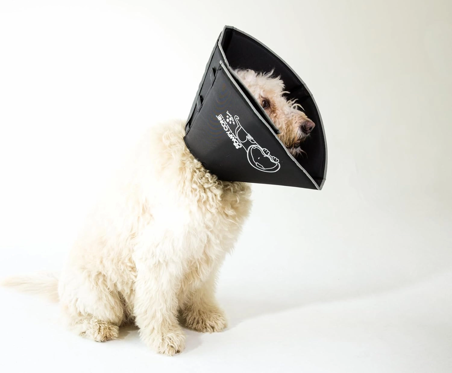 Comfy Cone Pet Cone for Dogs, Cats, X-Large, Black - Comfortable Soft Dog Cone Collar Alternative for After Surgery, Wound Care, Spay, Neuter - Dog and Cat Recovery Elizabethan-Collar