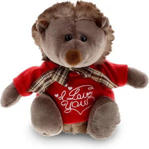 DolliBu I Love You Valentine Plush Hedgehog with Ribbon - Cute Stuffed Animal with Red Shirt and Name Personalization Gift for Valentines Day, Birthday, Anniversary - 9 Inches