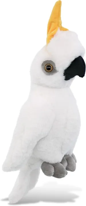 DolliBu White Cockatoo Bird Super Soft Stuffed Animal, Cute Realistic Bird Stuffed Animals for Girls, Boys, Adults Animal Gifts, Kids Nursery Decor for Newborn, Cuddly Soft Baby Plush Toys - 10 Inches
