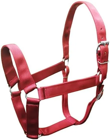 Draft Horse Extra Wide Halter ROYAL