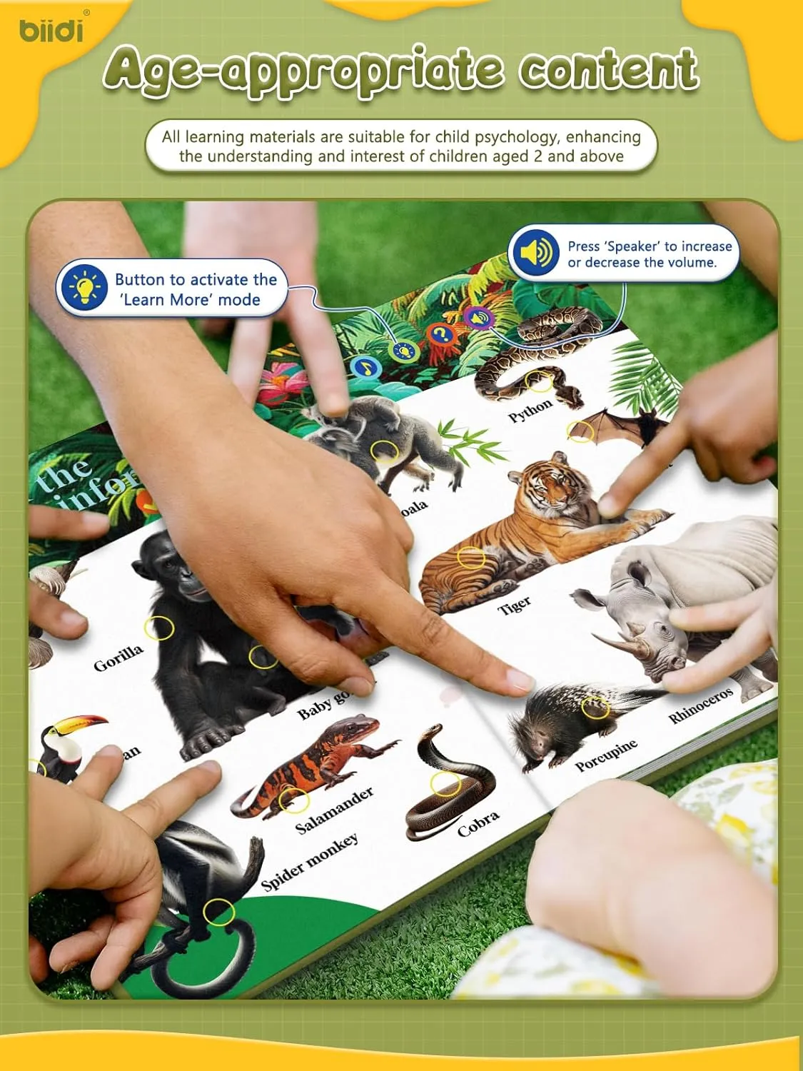 English Words Sound Book-Books with Sounds for Toddlers2-6,600  Sounds and 13 Topics, Interactive Books|Suitable for Childreneducational Learning Toys& Birthday Gift (Animal World)