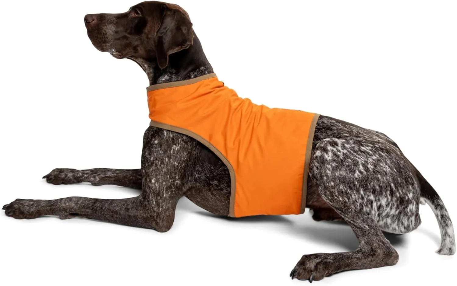 for Pets Hunting Dog Adjustable Vest with Bulit-in Insect Repellent
