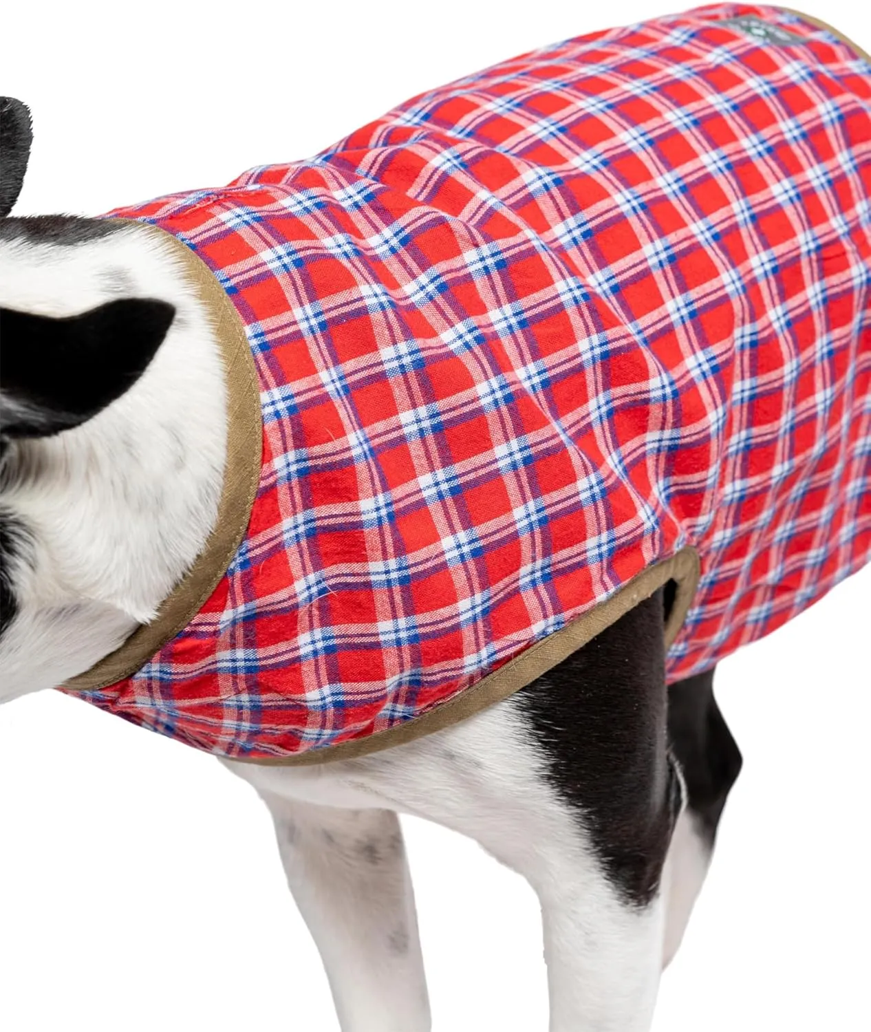 for Pets Trail Dog Adjustable Vest with Built-in Insect Protection