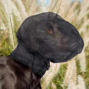Foxtail Mask for Dogs (M), Field Net Guard Dog Foxtail Protection Hood for Dogs Prevent Foxtails Thorns Rocks Insects, Dog Face Guard for Hiking,Outdoor Adventures