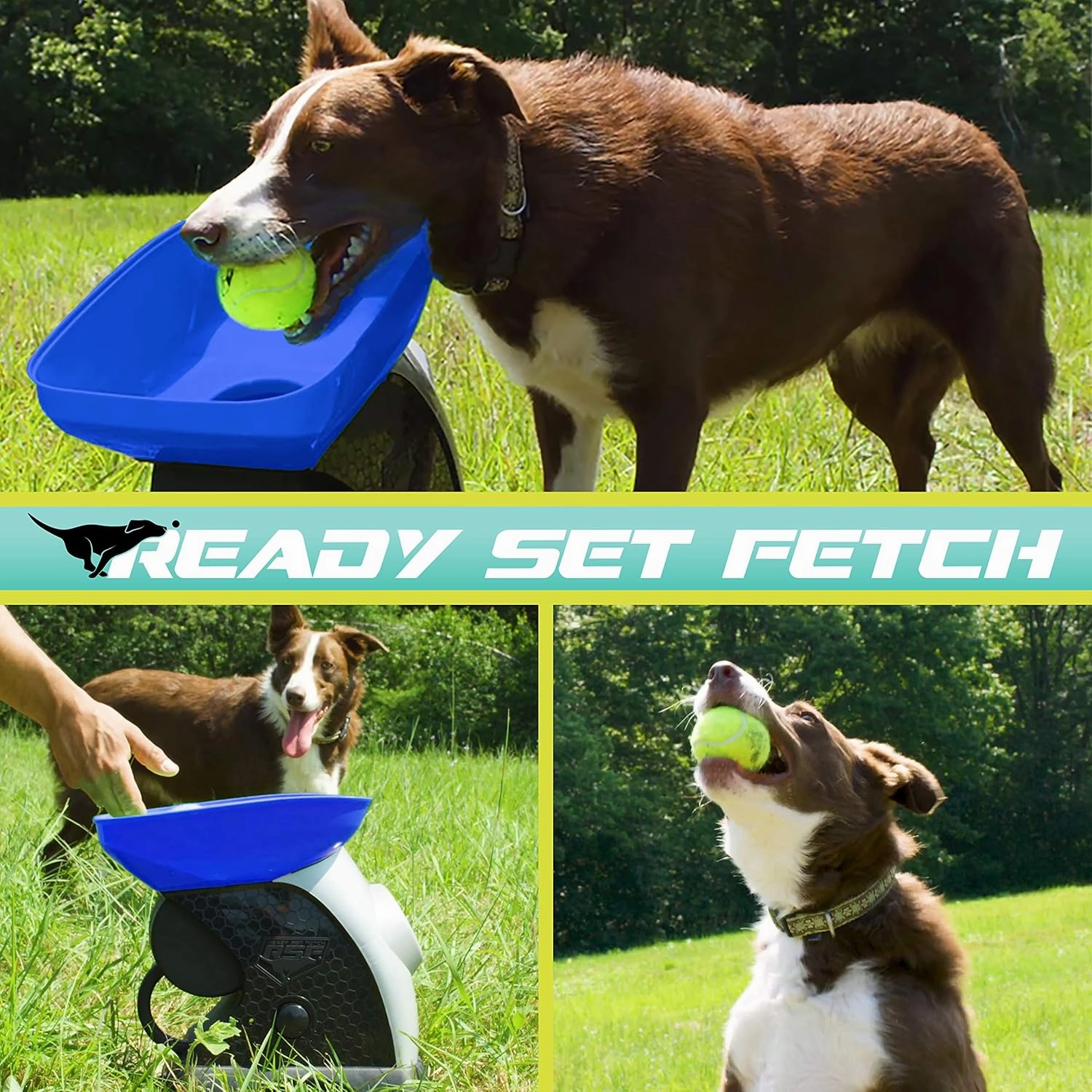 Franklin Pet Supply Co. Ready Set Fetch Automatic Tennis Ball Launcher Dog Toy - Electronic Thrower for Fetch   Playtime - Launches up to 40 Feet - Official Size