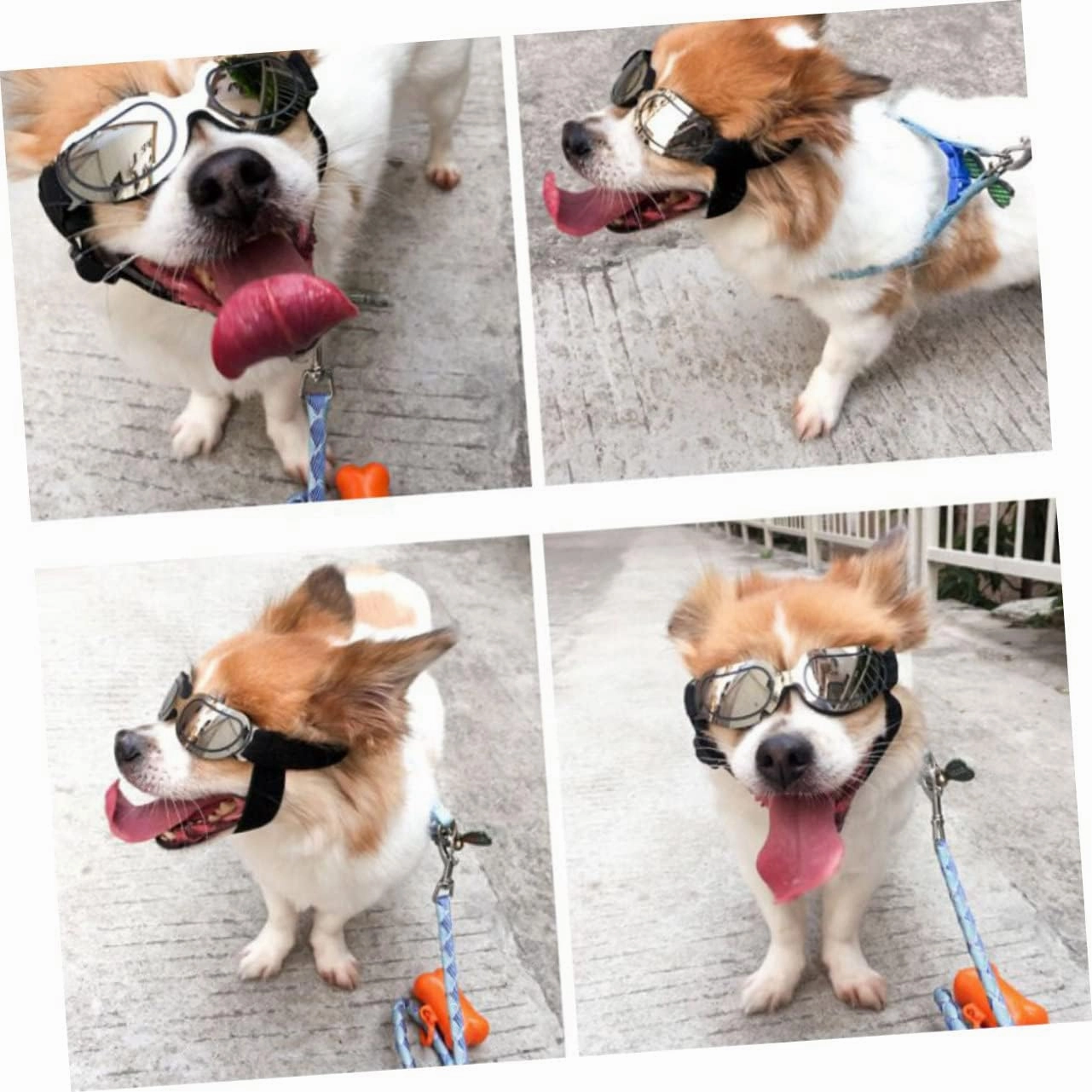 FRCOLOR 2 Pcs Doggy Sunglasses Pet Glasses with Stretchy Strap Uv Protection Doggles Dog Sunblock Eye Wear