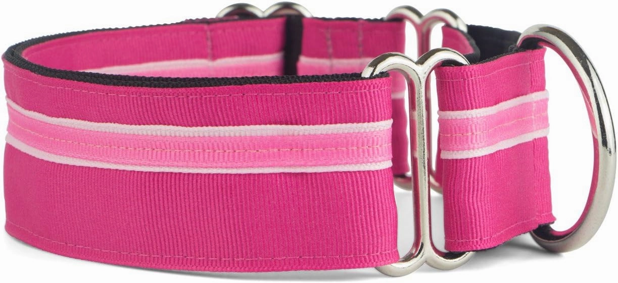 If It Barks - 1.5" Martingale Collar for Dogs - Adjustable - Nylon - Strong and Comfy - Ideal for Training - Made in USA - Large Bubble Gum