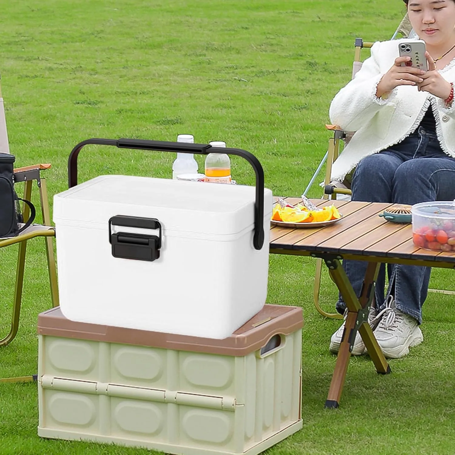 Insulated Mini Ice Chest with Portable Handles, 4qt Small Hard Cooler Lunch Box for Car Camping Picnic Beach Outdoor Cooler Refrigerated Box for Beach, Picnic, Camping, Boat