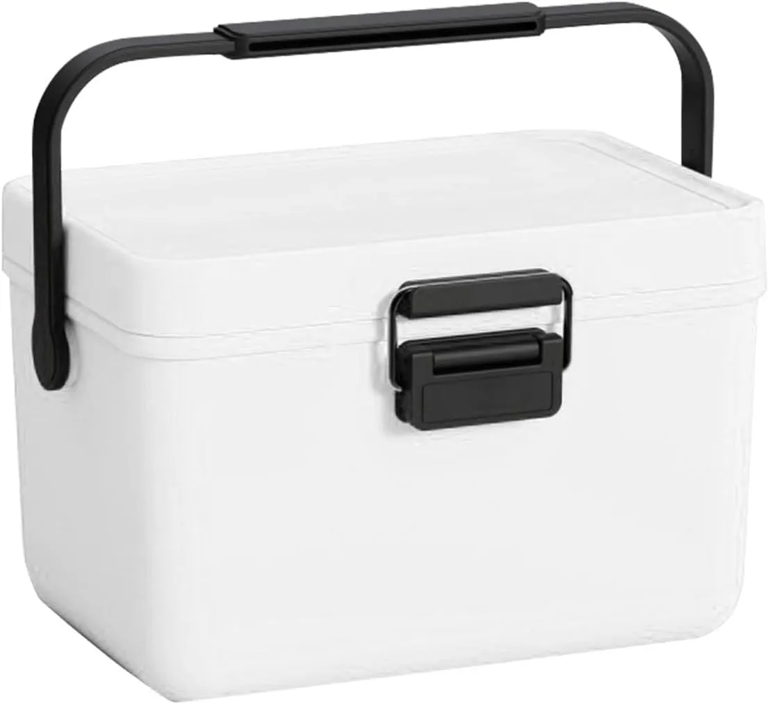 Insulated Mini Ice Chest with Portable Handles, 4qt Small Hard Cooler Lunch Box for Car Camping Picnic Beach Outdoor Cooler Refrigerated Box for Beach, Picnic, Camping, Boat
