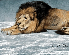 Lions Collection PD (19) - Etude de Lion by John Macallan Swan - Van-Go Paint-by-Number Kit 60x75cm no Frame