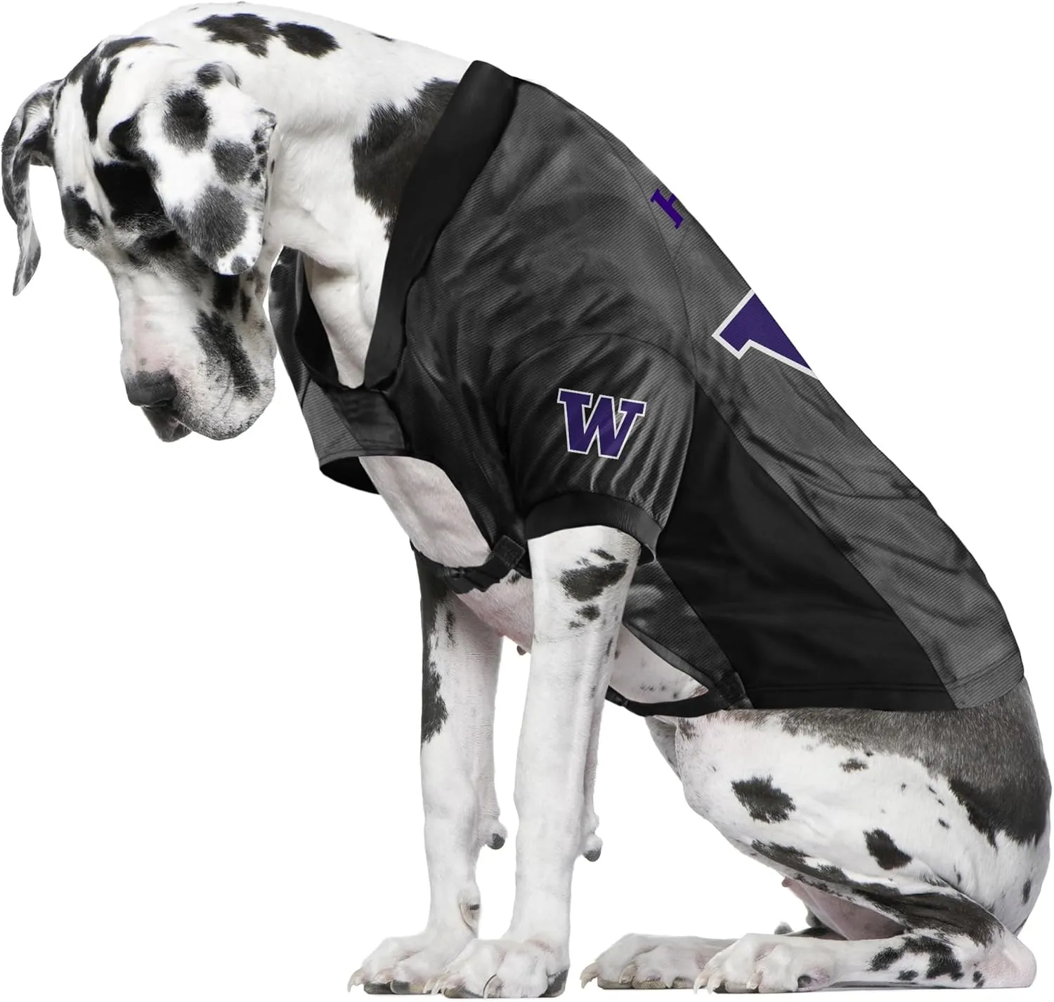 Littlearth NCAA Stretch Pet Jersey for Big Dogs