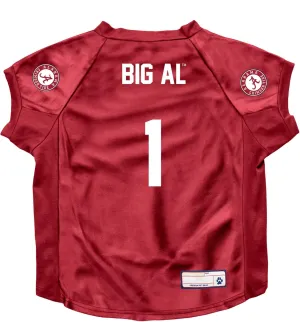 Littlearth NCAA Stretch Pet Jersey for Big Dogs