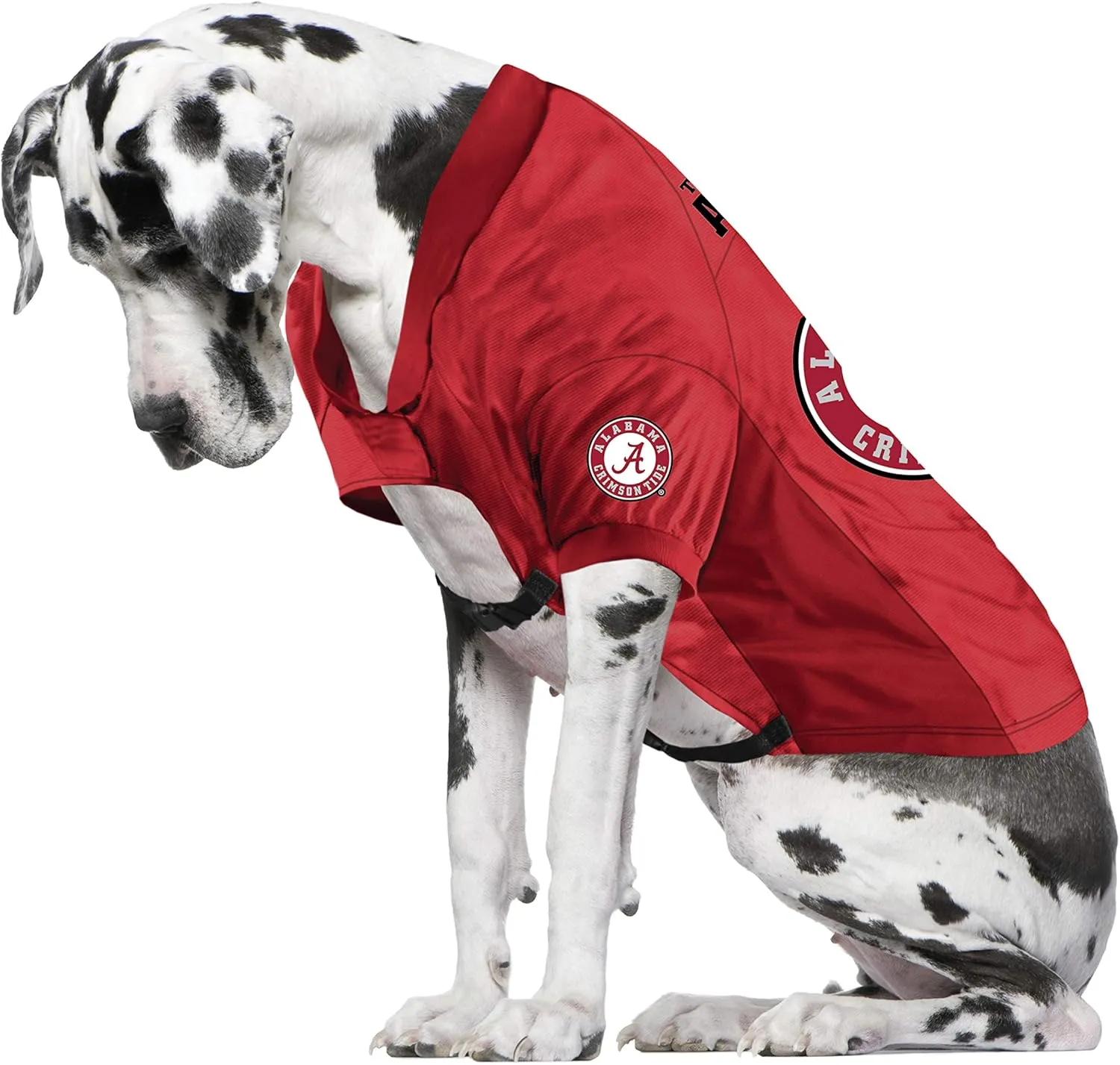 Littlearth NCAA Stretch Pet Jersey for Big Dogs