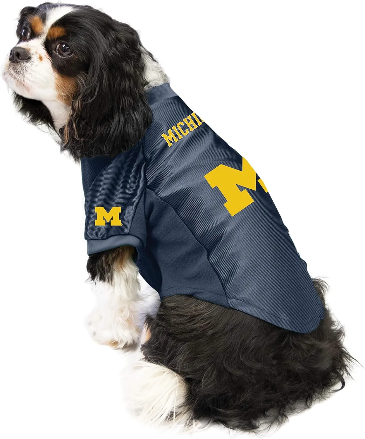 Littlearth NCAA Stretch Pet Jersey