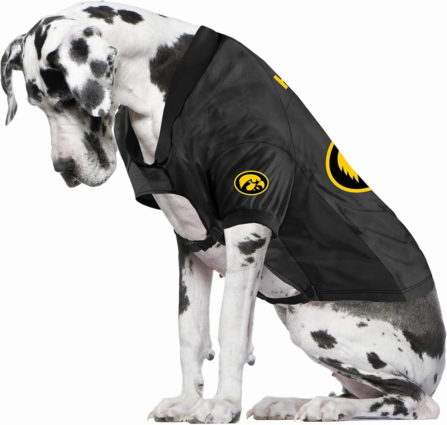 Littlearth NCAA Big Dog Stretch Pet Jerseys