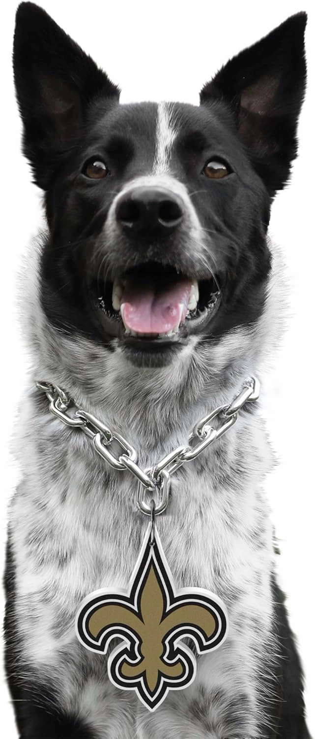 Littlearth NFL Pet Fan Chain
