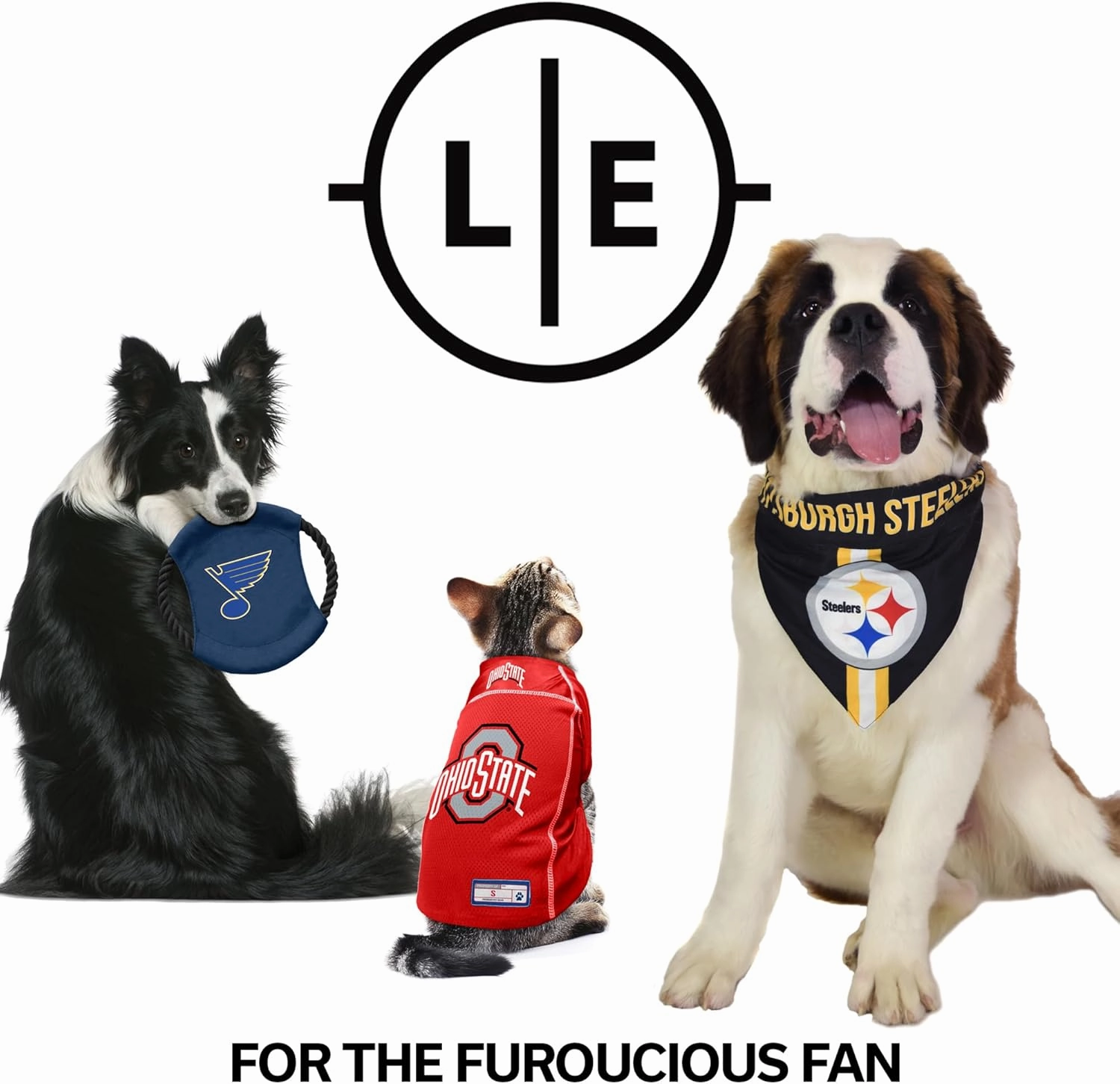 Littlearth NFL Pet Fan Chain