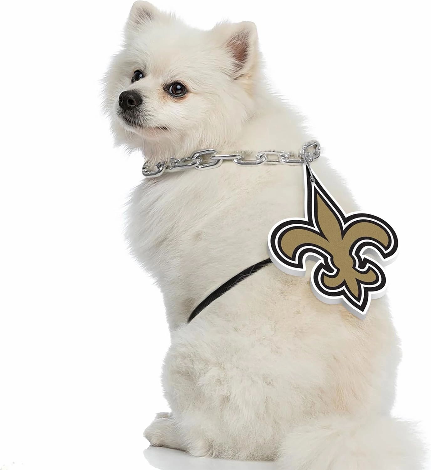 Littlearth NFL Pet Fan Chain