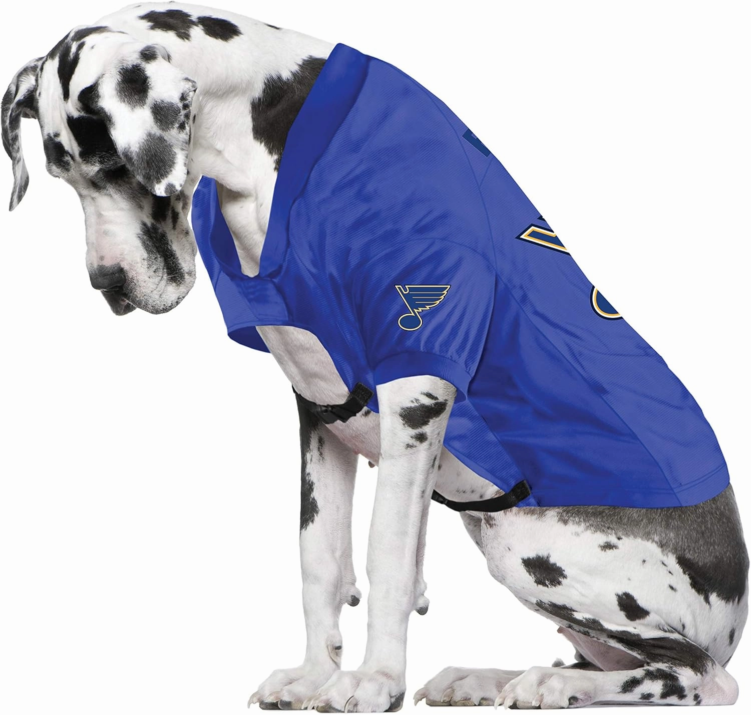 Littlearth NHL Stretch Pet Jersey