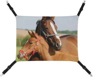 Lovers Horse Cat Hanging Hammock Soft Breathable Pet Cage Dog Hammock with Adjustable Straps and Metal Hooks