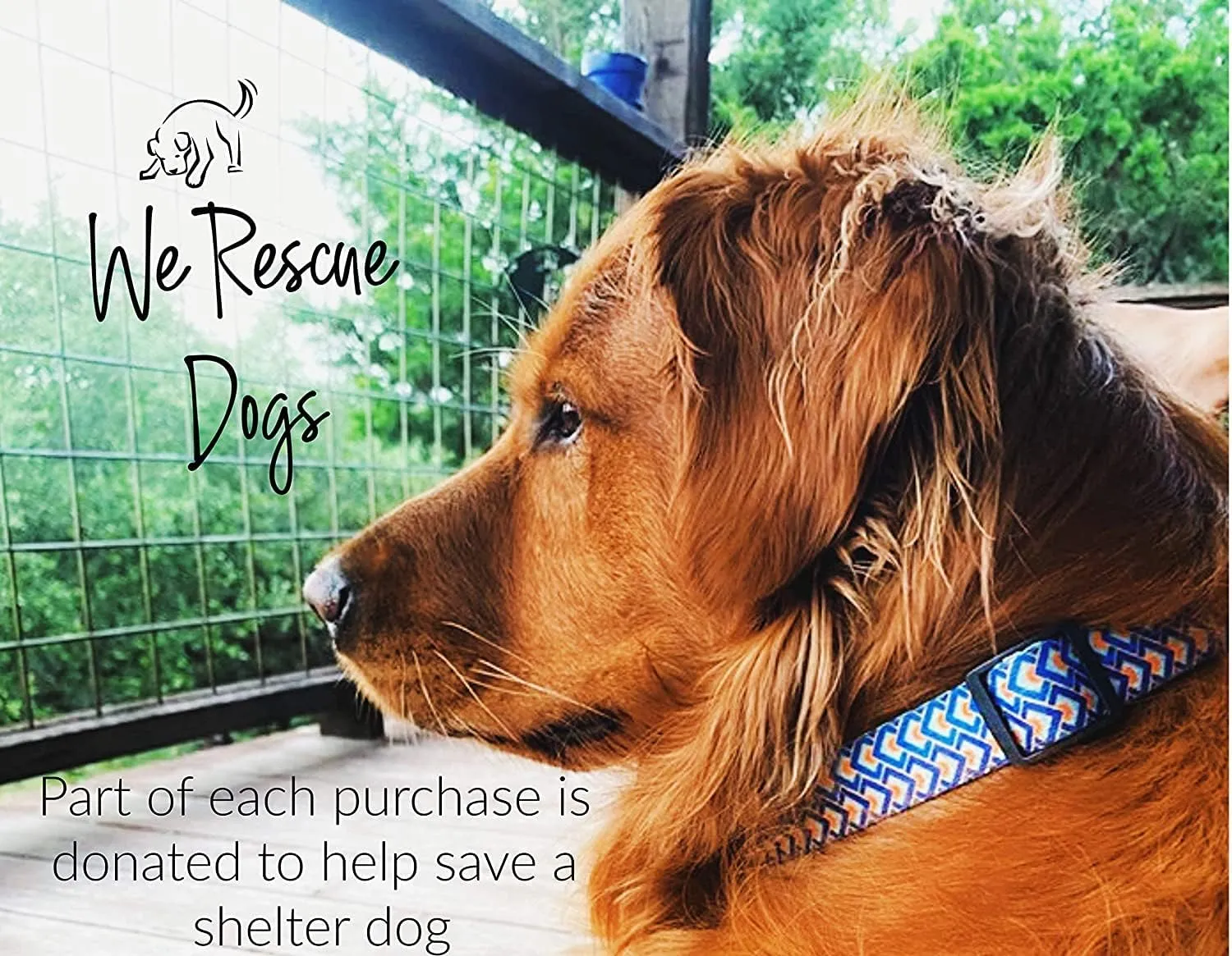 Lucky Love Dog Martingale Dog Collar - Adjustable, No-Slip, Durable, & Soft Webbing Collar for Male and Female Dogs Ideal for Training & Walking - Murphy, Large