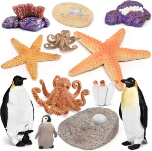Marine Animal Life Cycle Penguin Life Cycle, Octopus Life Cycle Model, Starfish Life Cycle Model Playset 12PCS Preschool Playset Children, Toddlers, Boys & Girls Science Aid Toys