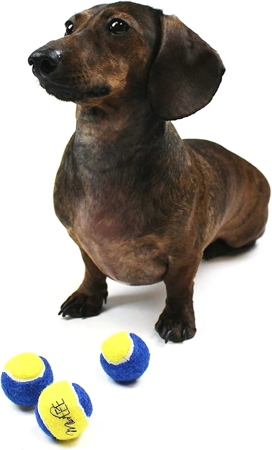 Midlee X-Small Dog Tennis Balls 1.5" Pack of 12 (Blue/Yellow, 1.5 inch)