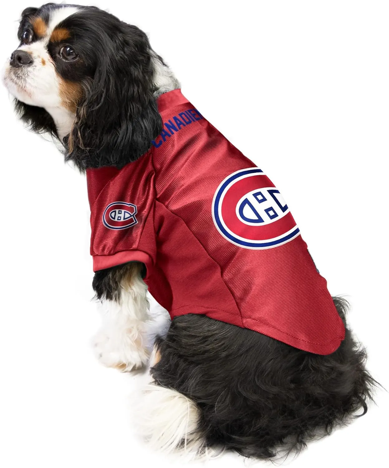 NHL Stretch Pet Jersey