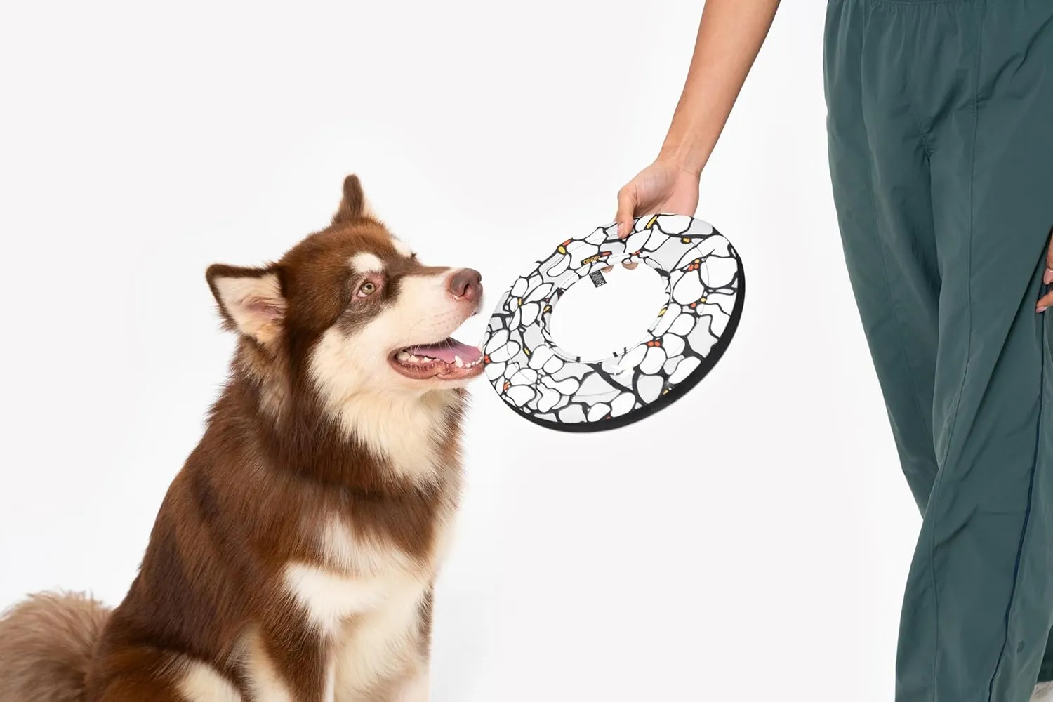 OllyDog Super Flyer | Durable Dog Frisbee | Soft & Lightweight Flying Disc | Gentle on Teeth & Gums | Water-Resistant Outdoor Toy (Magnolia)