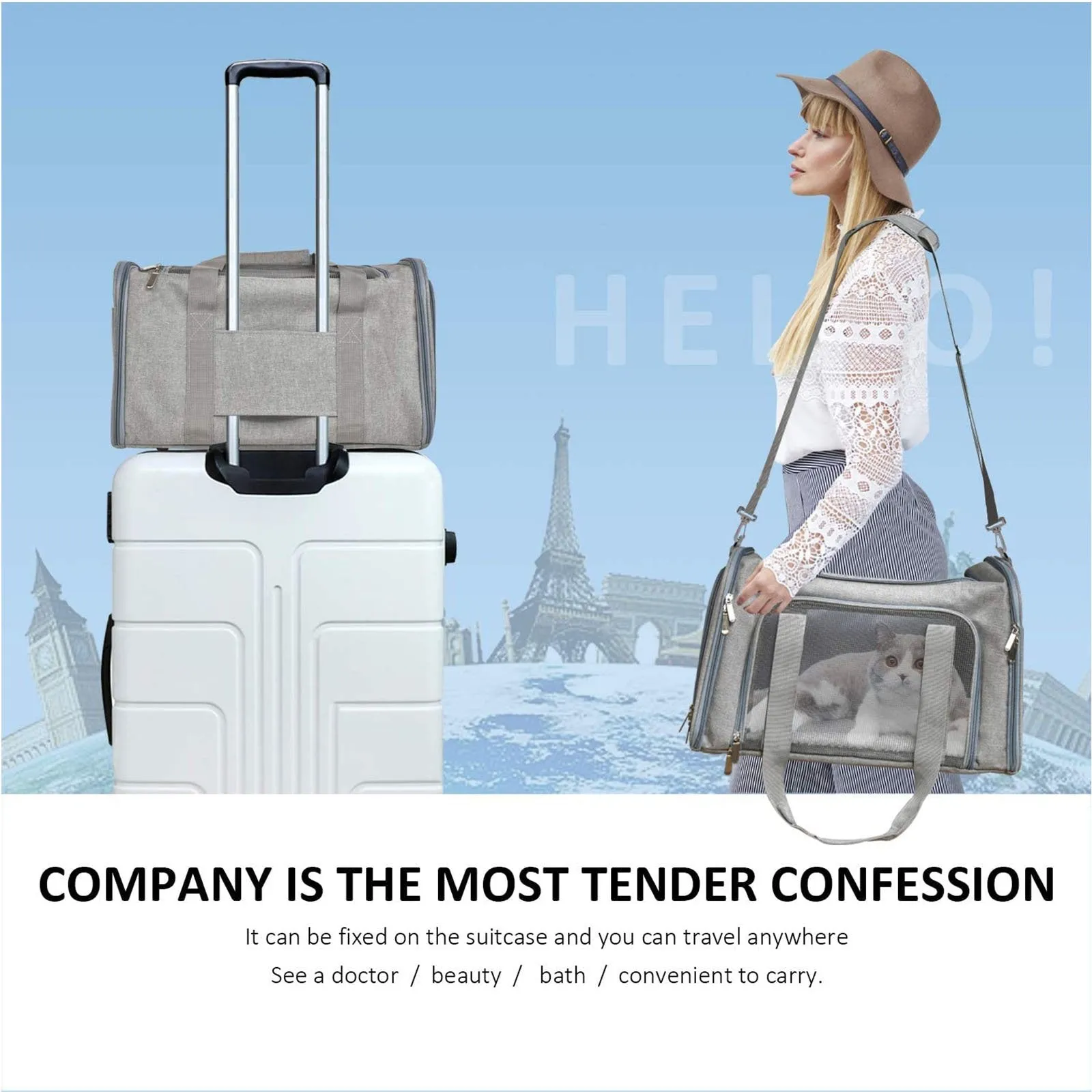 Pet Carrier for Pets 22 Pounds