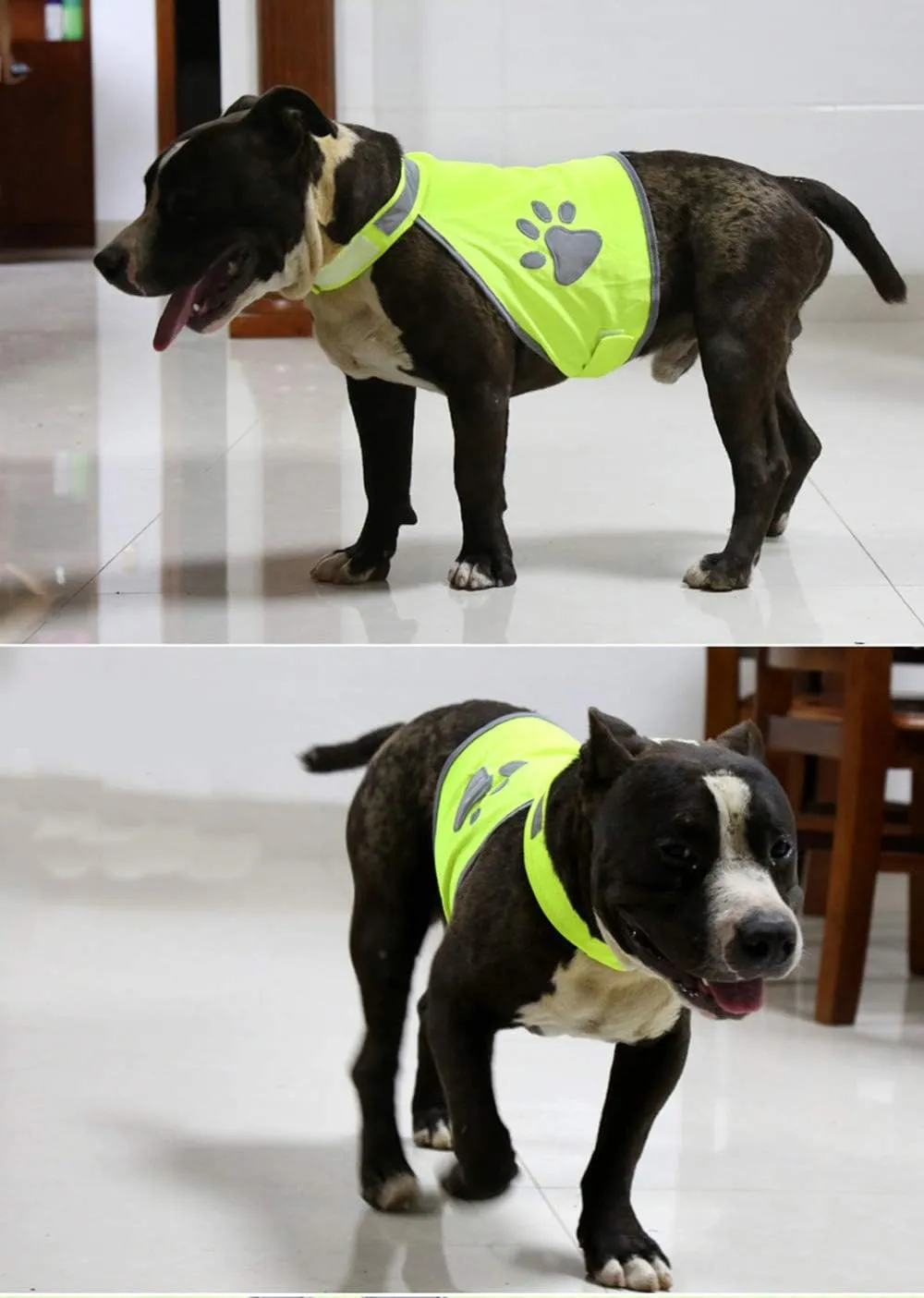 Pet Clothes, Dog Safety Vest with Reflective Dog Paw Adjustable Vest Jacket for Husky,Golden Retriever and Other Dog (L, Green)