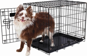 Petmate Aspen Pet Single-Door Home Training Crate, 24'W x 17'D x 20'