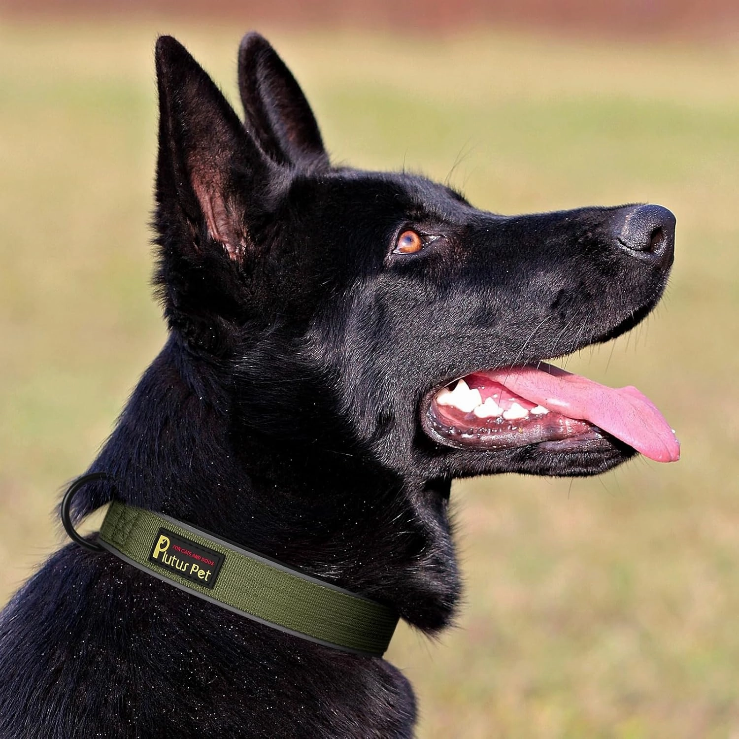 Plutus Pet Tactical Dog Collar, Reflective, Adjustable Heavy Duty Dog Collar, Soft Padded and Comfortable, for Small Medium and Large Dogs (Ranger Green, L)