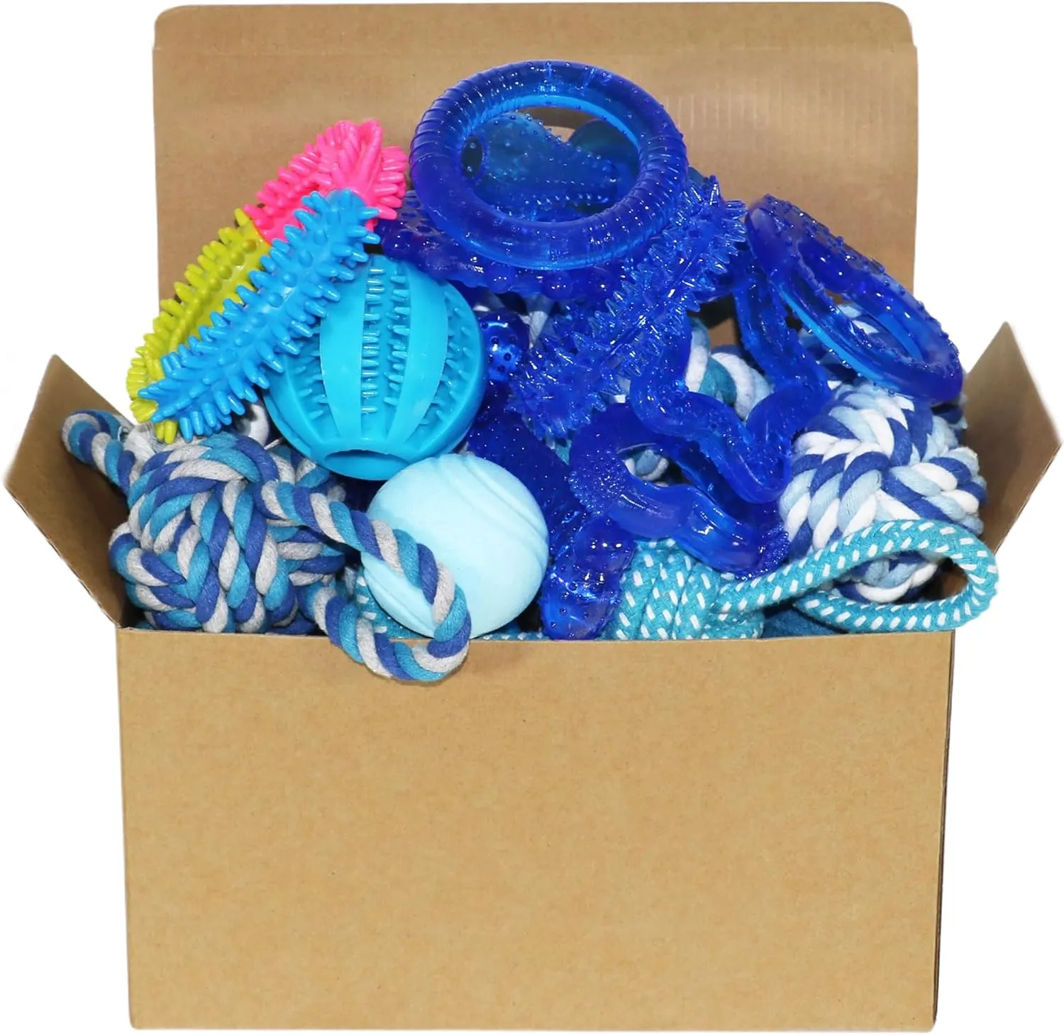 Puppy Toy Pack 20 Pcs, Blue Puppy Chew Toys Bundle, Rubber & Rope Teething Dog Toy for Small Breeds, Variety of Interactive Toy in Bulk for Puppies Playing Training & Endless Fun