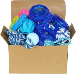 Puppy Toy Pack 20 Pcs, Blue Puppy Chew Toys Bundle, Rubber & Rope Teething Dog Toy for Small Breeds, Variety of Interactive Toy in Bulk for Puppies Playing Training & Endless Fun