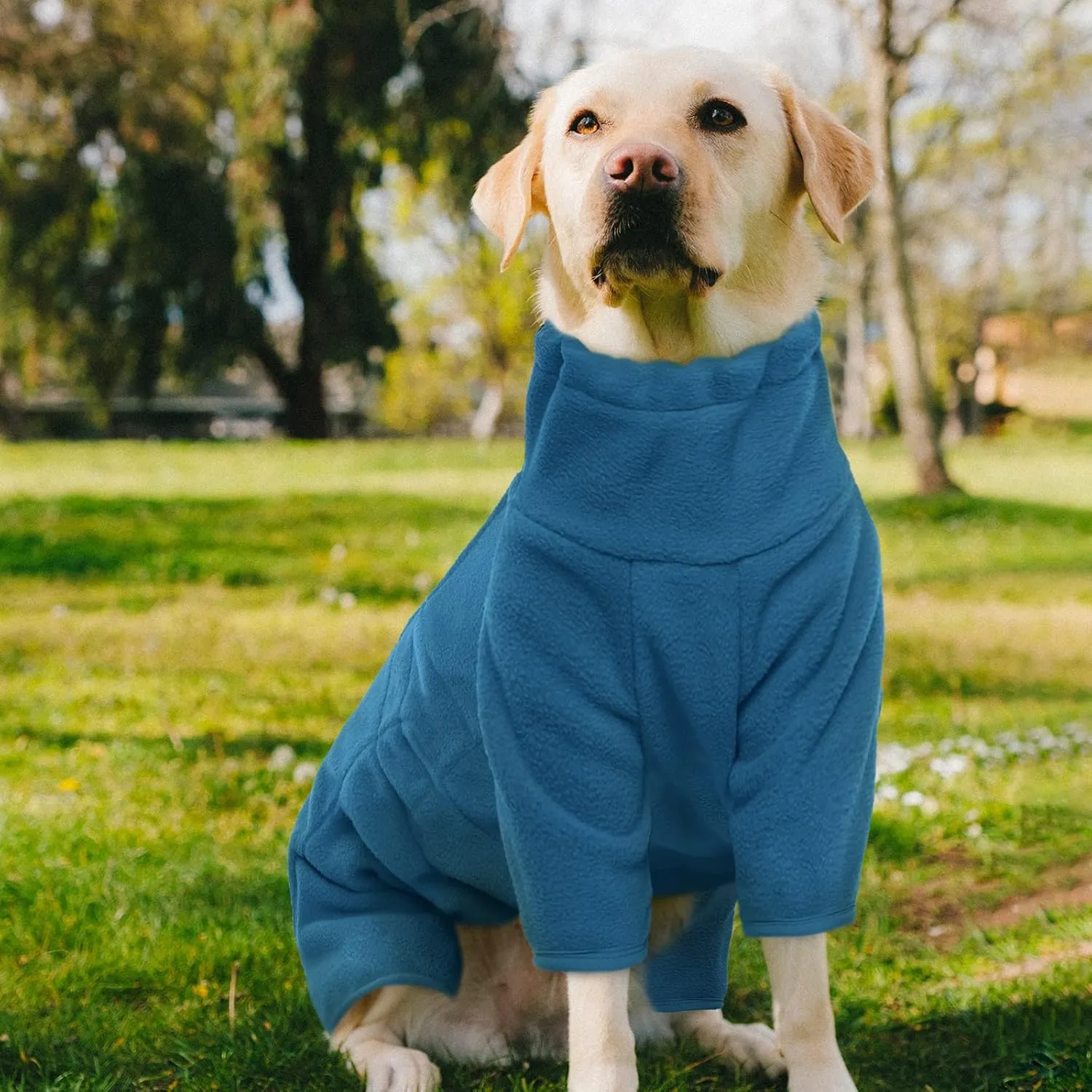 ROZKITCH Dog Winter Coat Soft Fleece Pullover Pajamas, Pet Windproof Warm Cold Weather Jacket Vest Cozy Jumpsuit Apparel Outfit Clothes for Small Medium Large Dog Walking Sleep XS