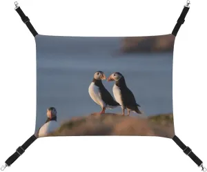 Seaside Bird Cat Hanging Hammock Soft Breathable Pet Cage Dog Hammock with Adjustable Straps and Metal Hooks