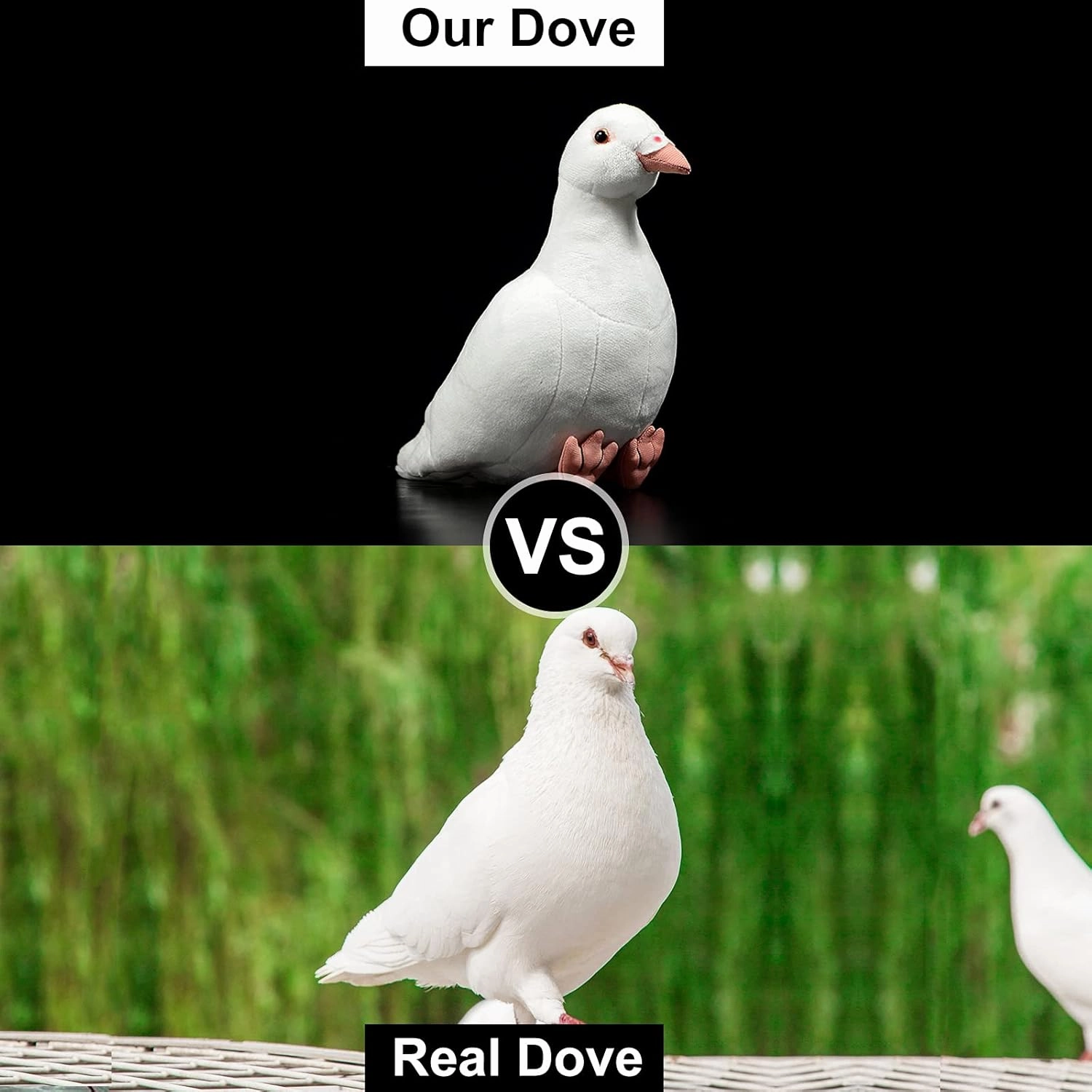 Simulation White Pigeon Stuffed Animal Toy - 10 inch Rock Pigeon Toys, Cute Pigeon as Gift for Kids (White Pigeon)