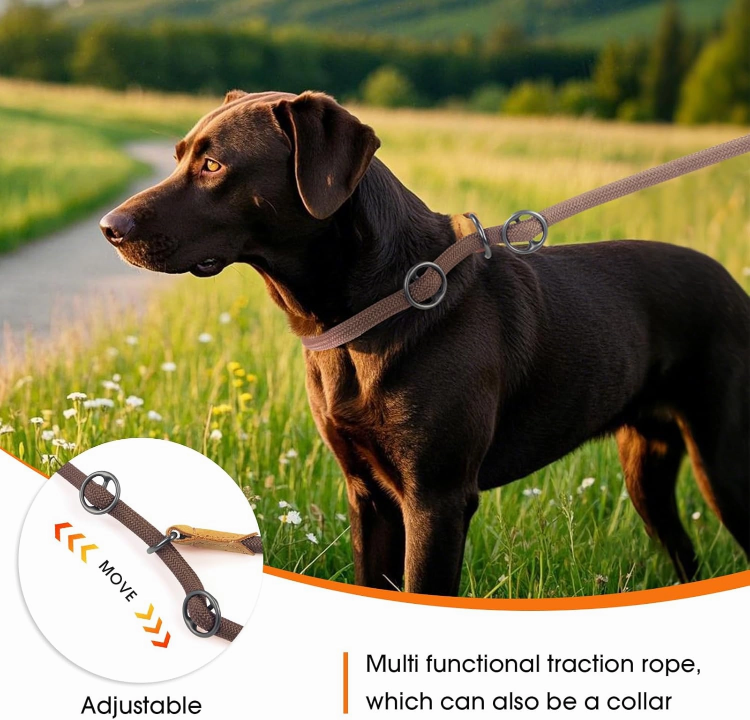 Slip Lead Dog Leash - Heavy Duty Rope Leash with Adjustable Loop and Hands-Free Handle for Training, Walking Active Dogs Brown 3m*Ø12mm