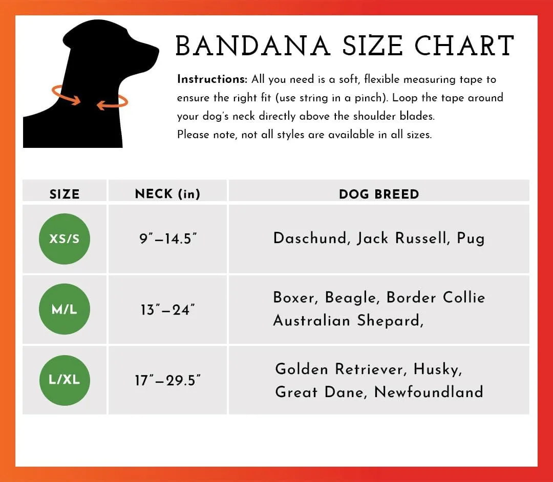 SPOT THE DOG! Reflective Bandana Bib Safety Apparel for All Dogs - Easy Fastening Closure, Reversible High Visibility Fluorescent Orange/Yellow XS-S