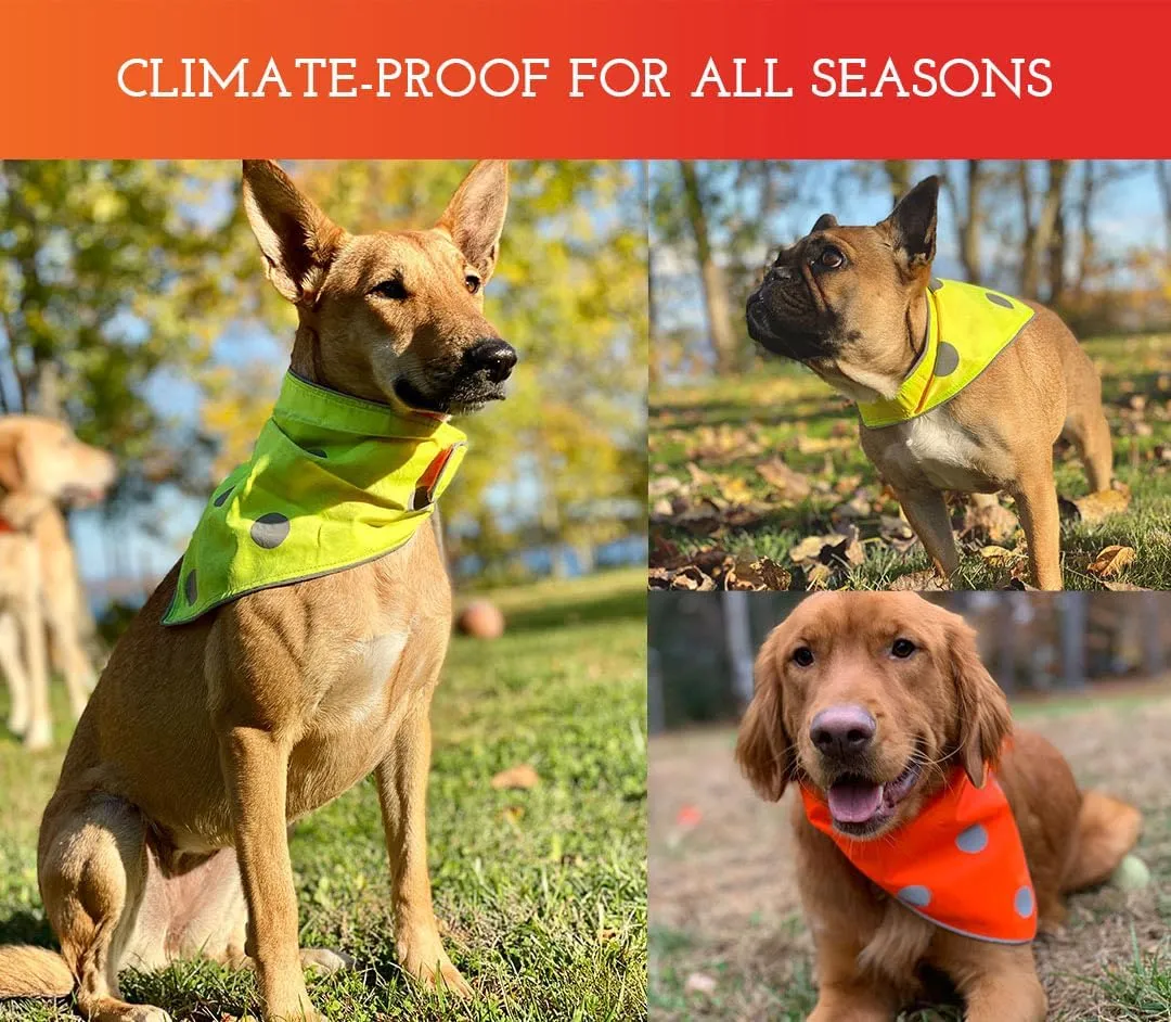 SPOT THE DOG! Reflective Bandana Bib Safety Apparel for All Dogs - Easy Fastening Closure, Reversible High Visibility Fluorescent Orange/Yellow XS-S