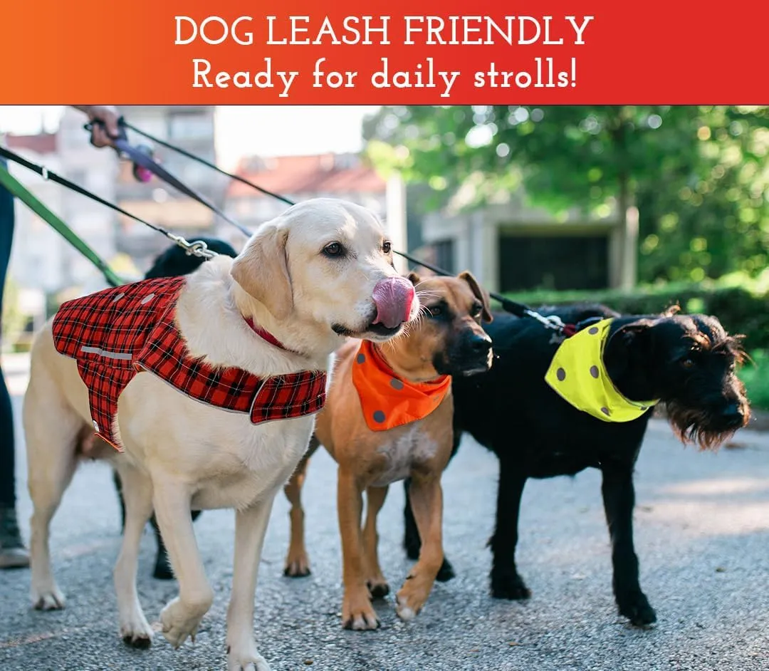 SPOT THE DOG! Reflective Dog Vest - Adjustable Dog Safety Vest, High Visibility Fluorescent Apparel for Dog Walking, Dog Hiking and Camping, Hunting Dog, On or Off Leash (Blaze Orange, Red Plaid, L)