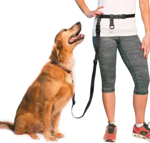 The Buddy System Adjustable Hands Free Dog Leash, Hand-Free Leash for Running, Jogging, Walking, Hiking and Training Service Dogs, Versatile All Dog Sizes - Made in USA - X-Large, Black