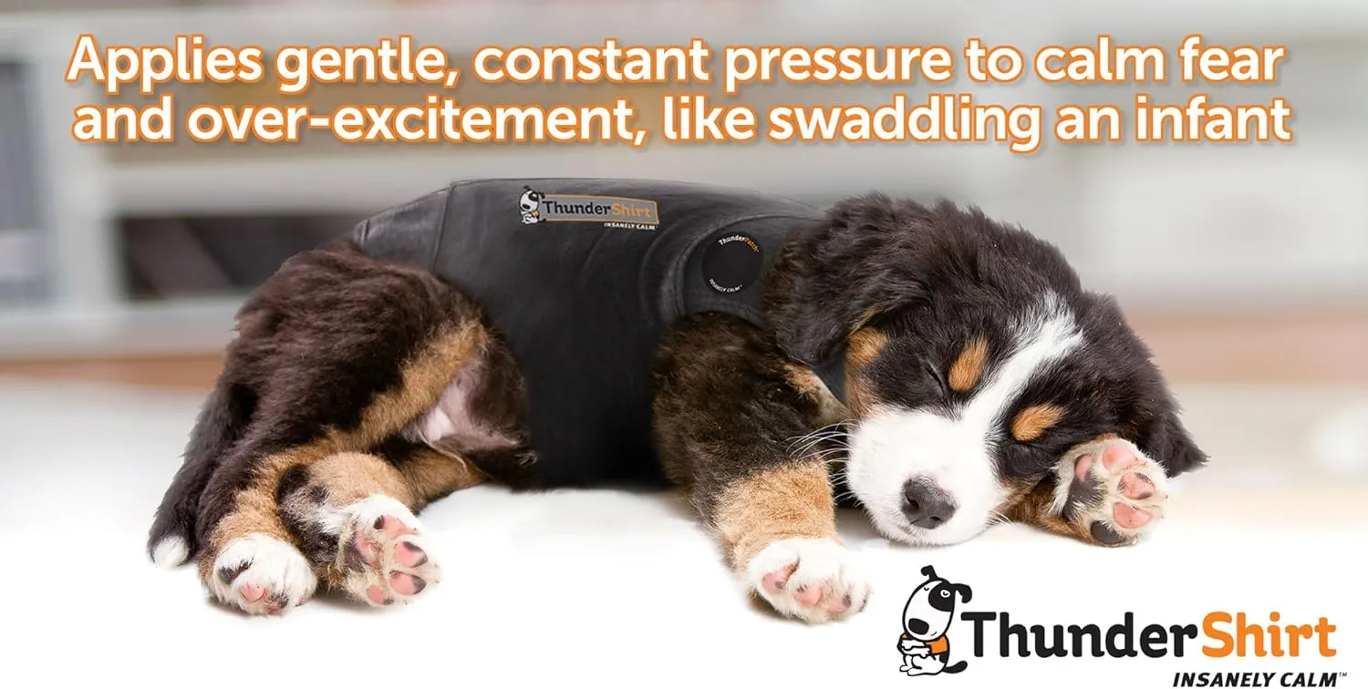 ThunderShirt for Dogs, XX Small, Blue Polo - Dog Anxiety Relief Calming Vest