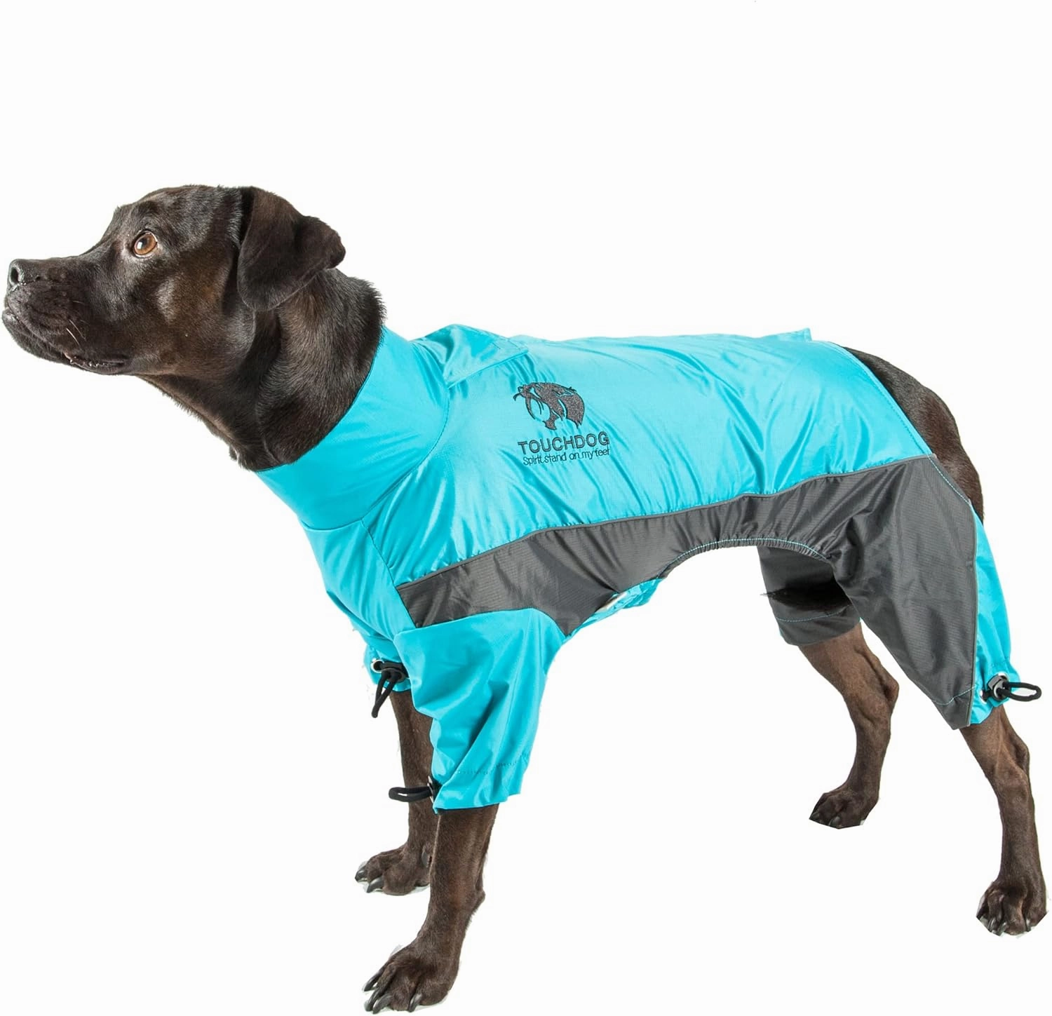 TOUCHDOG 'Quantum-Ice' Full Body Bodied Adjustable and 3M Reflective Pet Dog Coat Jacket w/ Blackshark Technology, Small, Ocean Blue, Grey