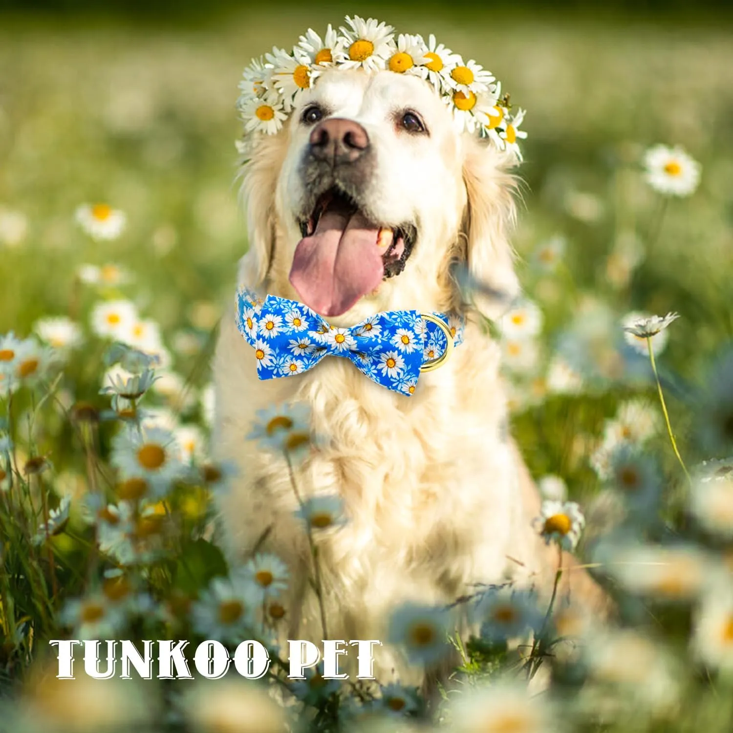 Tunkoo Blue Daisy Dog Collar with Cute Flower Bow Tie, Adjustable Premium Cotton Collar Durable Metal Buckle for Small Medium Large Boys Girls Dogs, L