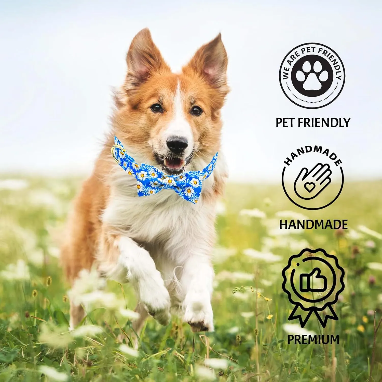 Tunkoo Blue Daisy Dog Collar with Cute Flower Bow Tie, Adjustable Premium Cotton Collar Durable Metal Buckle for Small Medium Large Boys Girls Dogs, L